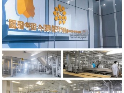 阳谷食品机械设备厂家，助力食品安全与企业发展